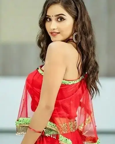 Call Girls Service Chakpikarong